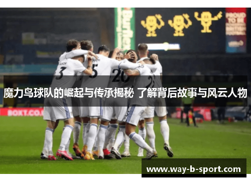魔力鸟球队的崛起与传承揭秘 了解背后故事与风云人物